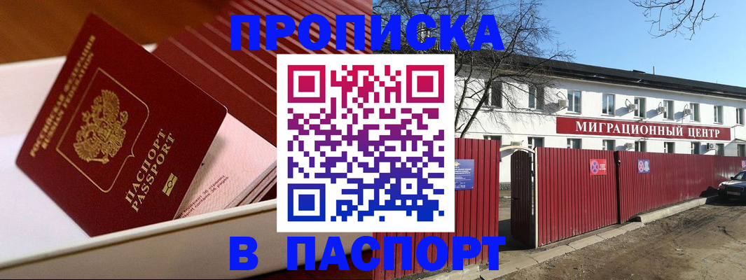 прописка 2025 в Мытищах